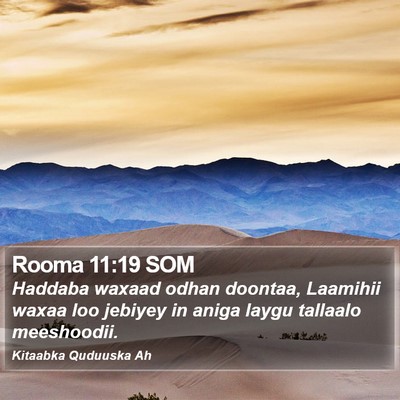 Rooma 11:19 SOM Bible Verse Image
