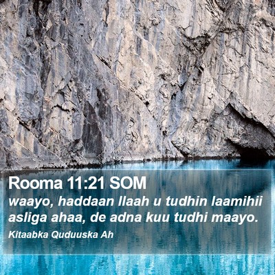 Rooma 11:21 SOM Bible Verse Image