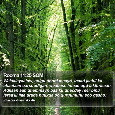 Rooma 11:25 SOM Bible Verse Image