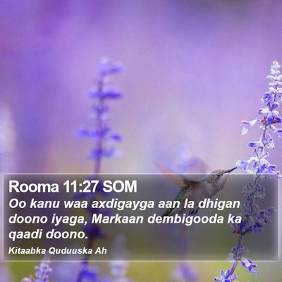 Rooma 11:27 SOM Bible Verse Image