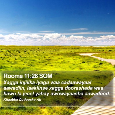 Rooma 11:28 SOM Bible Verse Image