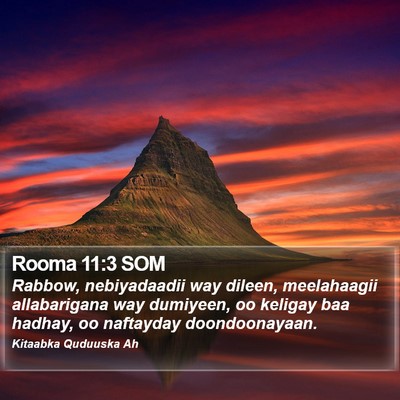 Rooma 11:3 SOM Bible Verse Image