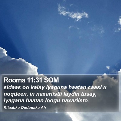 Rooma 11:31 SOM Bible Verse Image