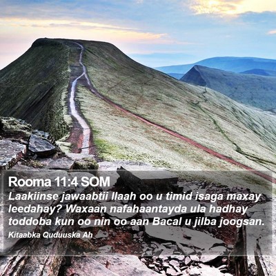 Rooma 11:4 SOM Bible Verse Image