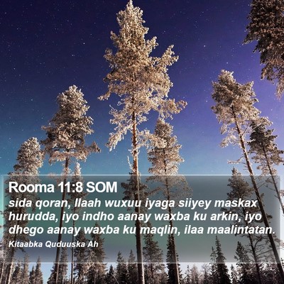 Rooma 11:8 SOM Bible Verse Image