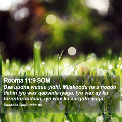 Rooma 11:9 SOM Bible Verse Image