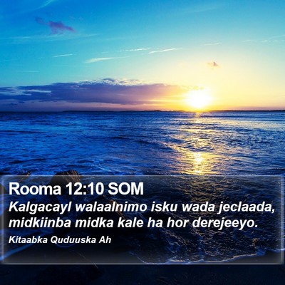 Rooma 12:10 SOM Bible Verse Image