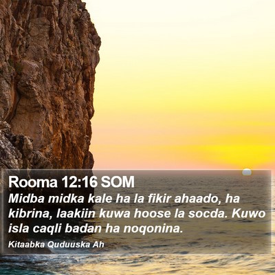 Rooma 12:16 SOM Bible Verse Image