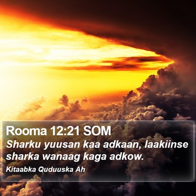 Rooma 12:21 SOM Bible Verse Image