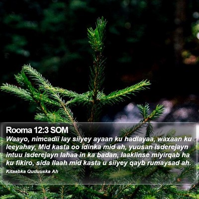 Rooma 12:3 SOM Bible Verse Image