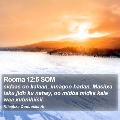 Rooma 12:5 SOM Bible Verse Image