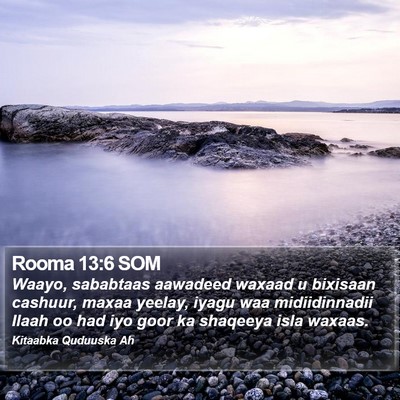 Rooma 13:6 SOM Bible Verse Image