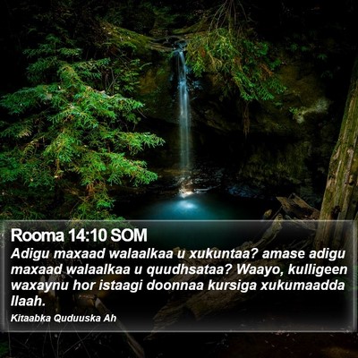 Rooma 14:10 SOM Bible Verse Image