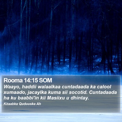 Rooma 14:15 SOM Bible Verse Image