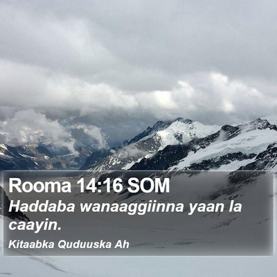 Rooma 14:16 SOM Bible Verse Image