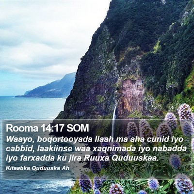 Rooma 14:17 SOM Bible Verse Image