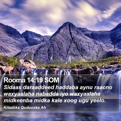 Rooma 14:19 SOM Bible Verse Image