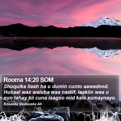 Rooma 14:20 SOM Bible Verse Image