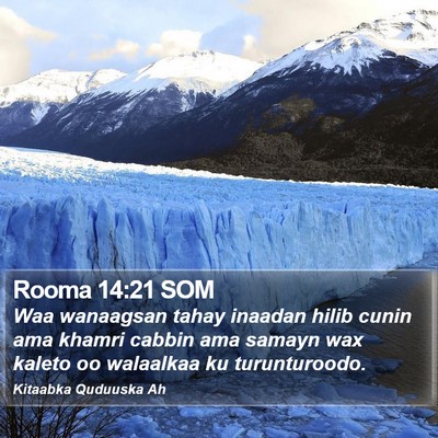 Rooma 14:21 SOM Bible Verse Image