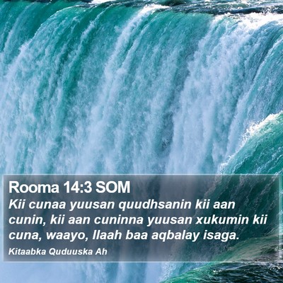 Rooma 14:3 SOM Bible Verse Image