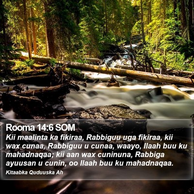 Rooma 14:6 SOM Bible Verse Image