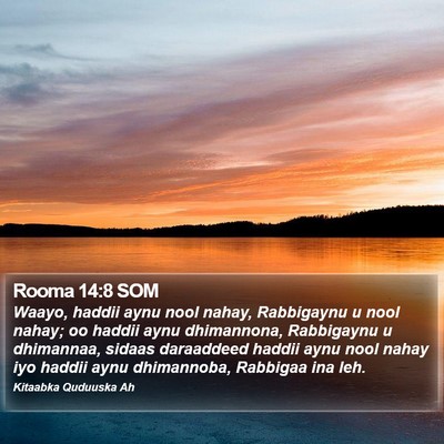Rooma 14:8 SOM Bible Verse Image