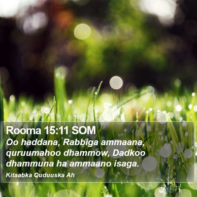Rooma 15:11 SOM Bible Verse Image