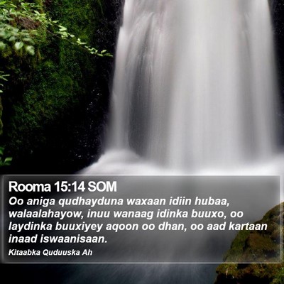 Rooma 15:14 SOM Bible Verse Image