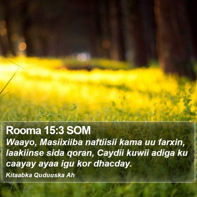 Rooma 15:3 SOM Bible Verse Image