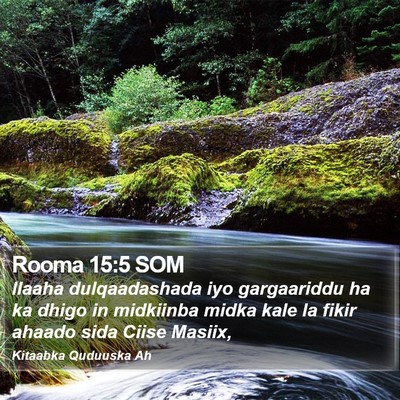 Rooma 15:5 SOM Bible Verse Image