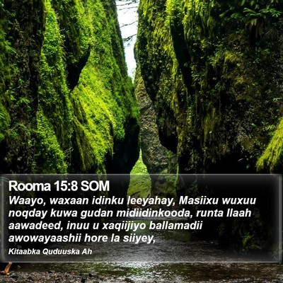 Rooma 15:8 SOM Bible Verse Image
