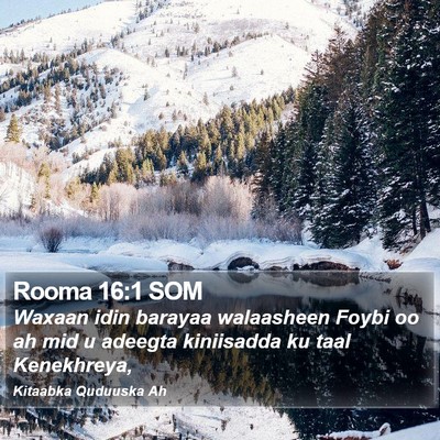 Rooma 16:1 SOM Bible Verse Image