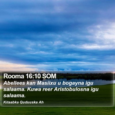 Rooma 16:10 SOM Bible Verse Image