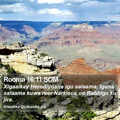 Rooma 16:11 SOM Bible Verse Image