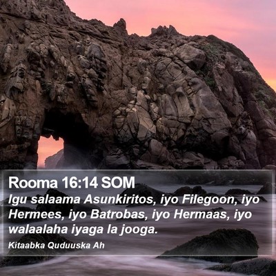 Rooma 16:14 SOM Bible Verse Image