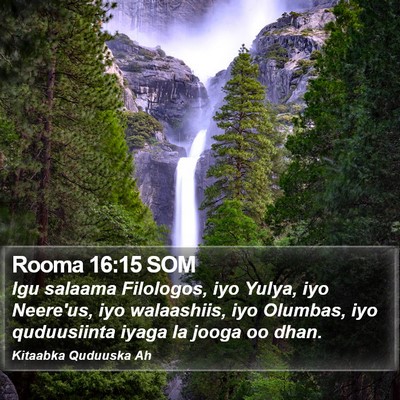 Rooma 16:15 SOM Bible Verse Image