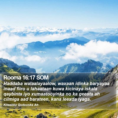 Rooma 16:17 SOM Bible Verse Image