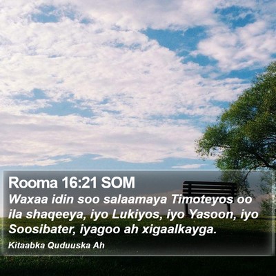 Rooma 16:21 SOM Bible Verse Image