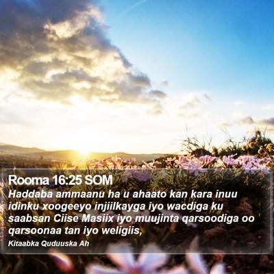Rooma 16:25 SOM Bible Verse Image