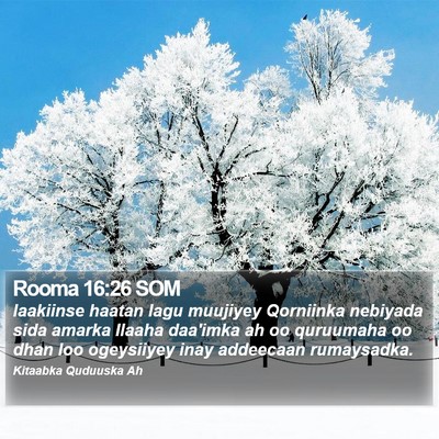 Rooma 16:26 SOM Bible Verse Image