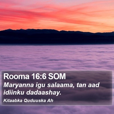 Rooma 16:6 SOM Bible Verse Image