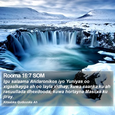 Rooma 16:7 SOM Bible Verse Image