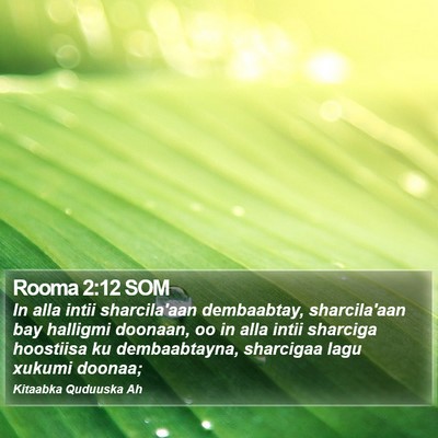Rooma 2:12 SOM Bible Verse Image