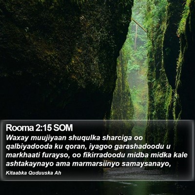 Rooma 2:15 SOM Bible Verse Image
