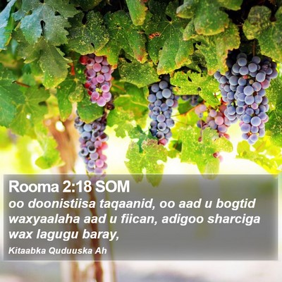 Rooma 2:18 SOM Bible Verse Image
