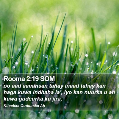 Rooma 2:19 SOM Bible Verse Image