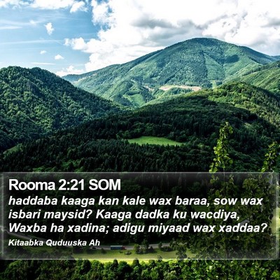 Rooma 2:21 SOM Bible Verse Image