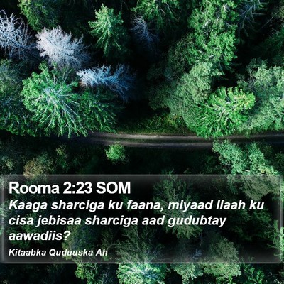 Rooma 2:23 SOM Bible Verse Image