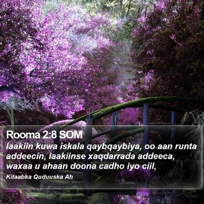 Rooma 2:8 SOM Bible Verse Image