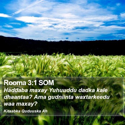 Rooma 3:1 SOM Bible Verse Image
